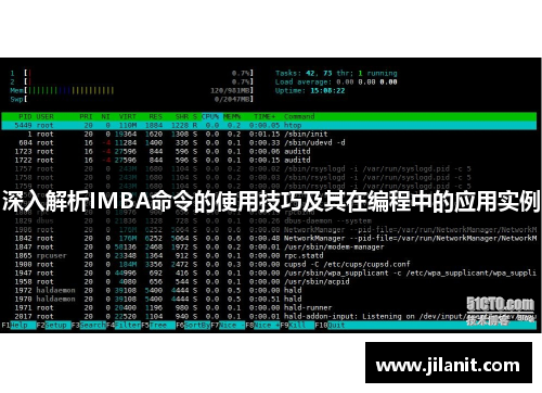 深入解析IMBA命令的使用技巧及其在编程中的应用实例