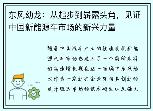 东风幼龙：从起步到崭露头角，见证中国新能源车市场的新兴力量